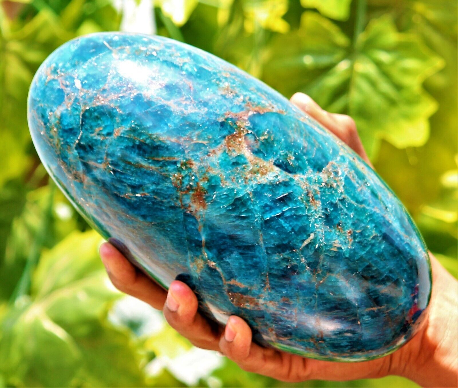 210MM Large Blue Apatite Crystal Gemstone Healing Energy Stone Lingam Specimen