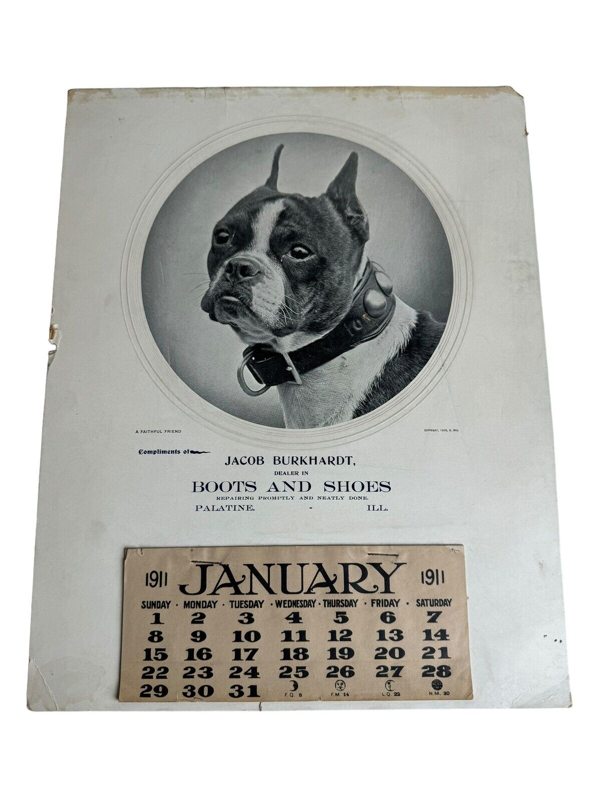 RARE Antique 1911 CALENDAR BY R HILL OLD Boston Terrier Palatine Illinois