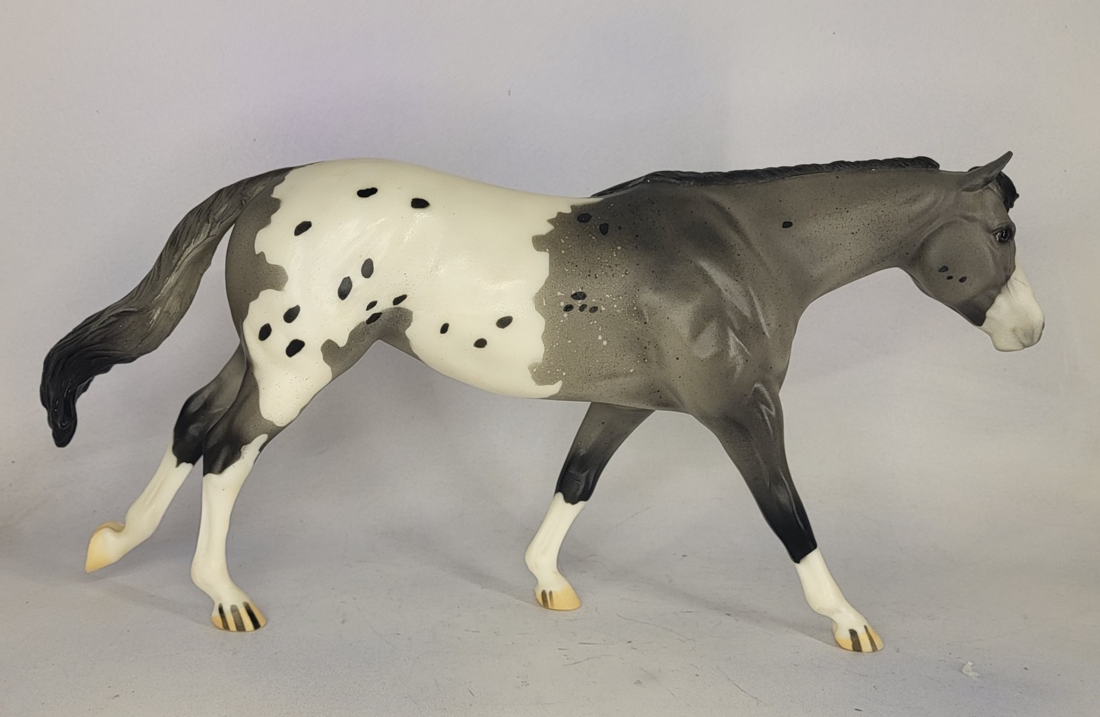Breyer cm Roxy