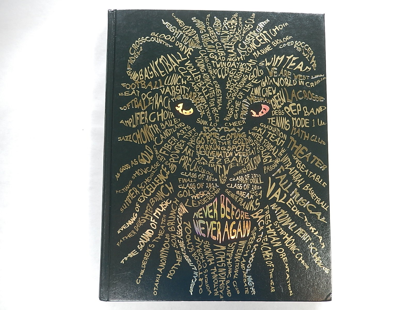 Yearbook, West Linn High School, West Linn Oregon, 2010, Green & Gold, UNMARKED Yearbook, West Linn High School, West Linn Oregon, 2010, Green & Gold, UNMARKED