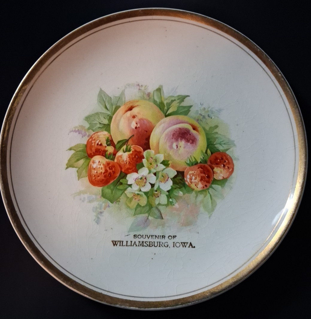 Vtg Advertising Dresden China Souvenir Williamsburg IA Plate Strawberries Apples