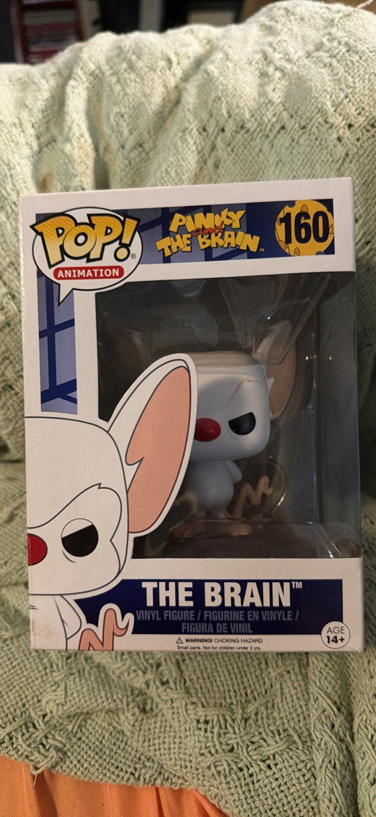 Pinky And The Brain