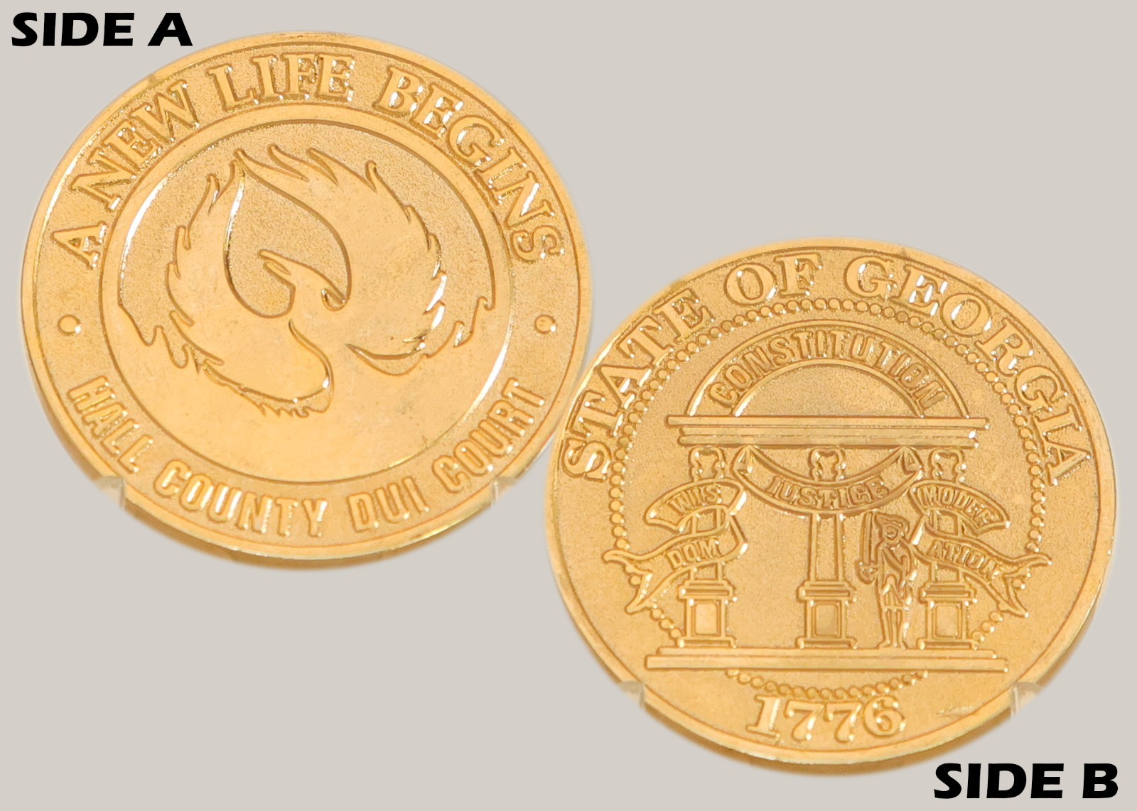 Hall County DUI Court New Life Begins Challenge Coin  M#3