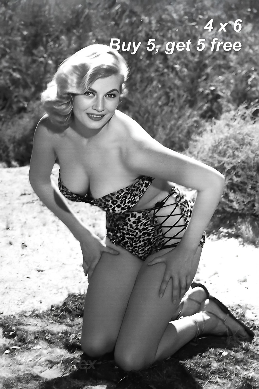 Anita Ekberg 💙 4x6 Photo - 1960s Hollywood Actress - Screen Star