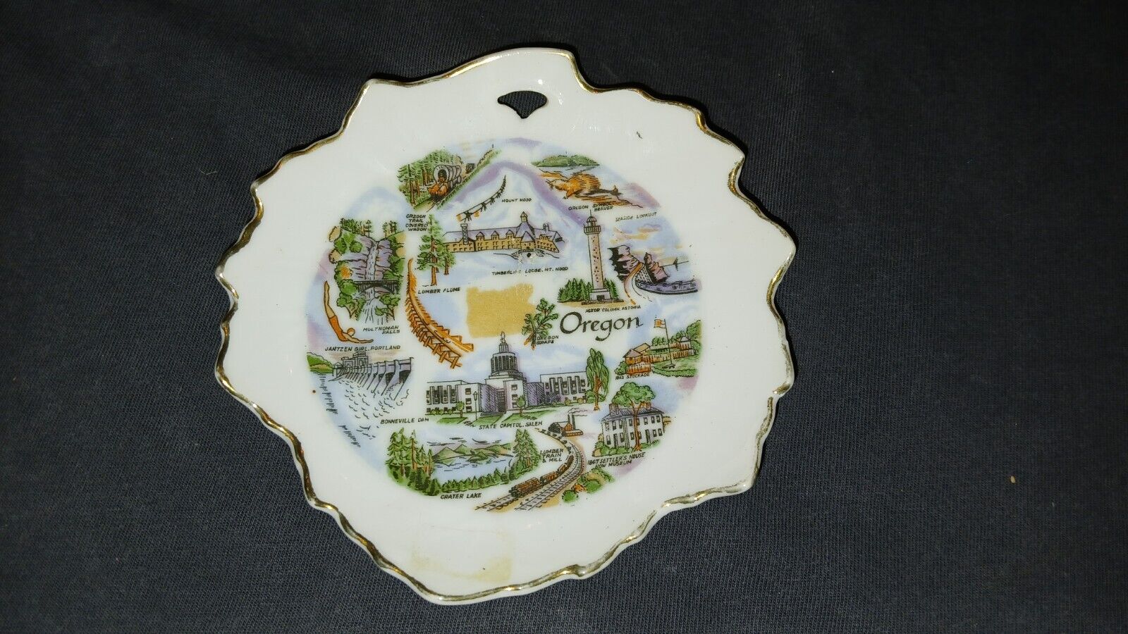 vintage oregon souvenir plate