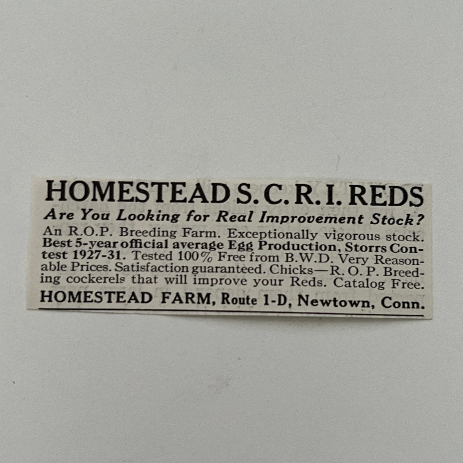 Homestead Farm Homestead SCRI Reds Breeding Farm Newtown CT 1934 Ad SAH7-S14