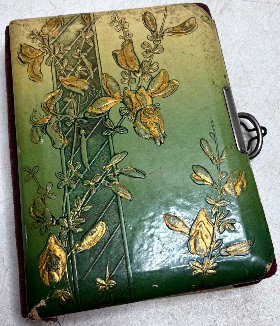 Antique Victorian Celluloid Photo Album Embossed Floral Cabinet Card Scrapbook 