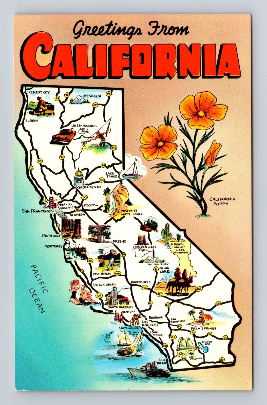 Greetings From California, State Map, State Flower, Vintage Souvenir Postcard