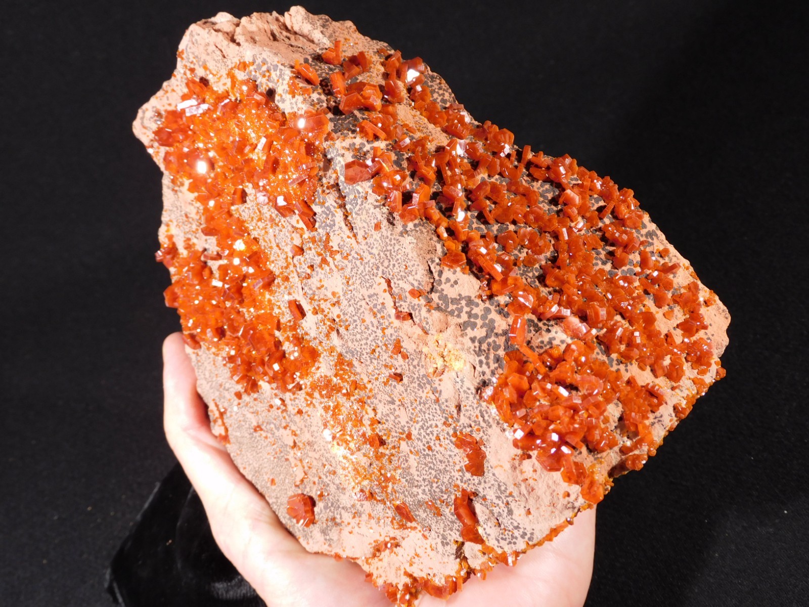 Dozens of ORANGE Crystals BIG Vanadinite Crystal Cluster Morocco 1191gr Dozens of ORANGE Crystals BIG Vanadinite Crystal Cluster Morocco 1191gr