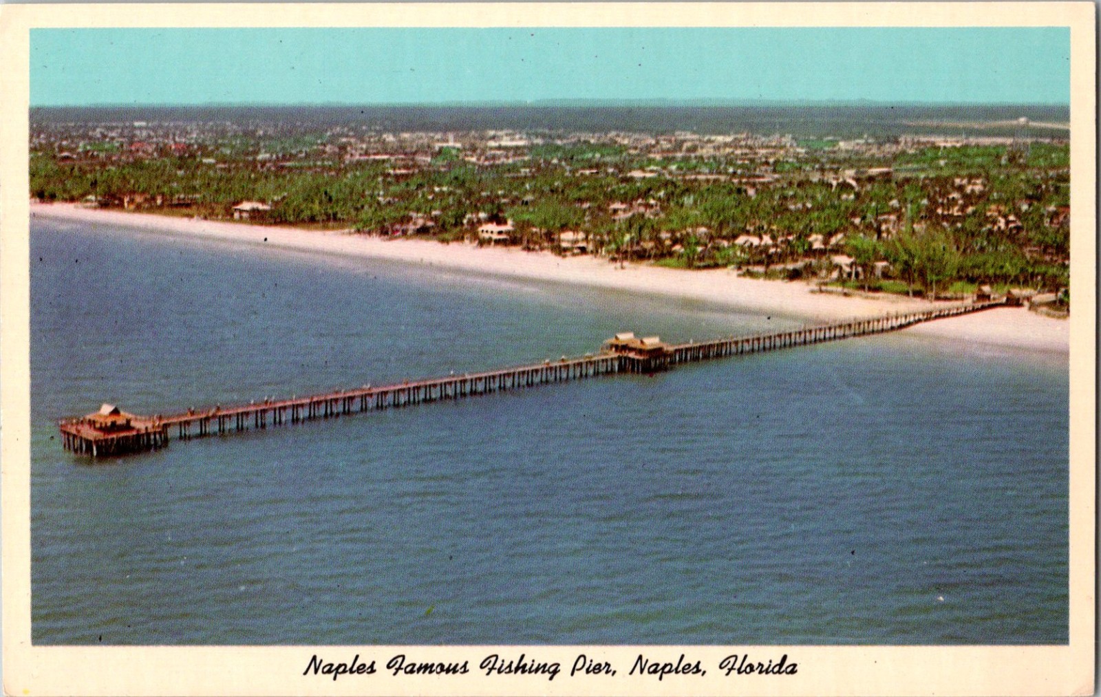Naples Famous Fisher Pier Florida Chrome Postcard