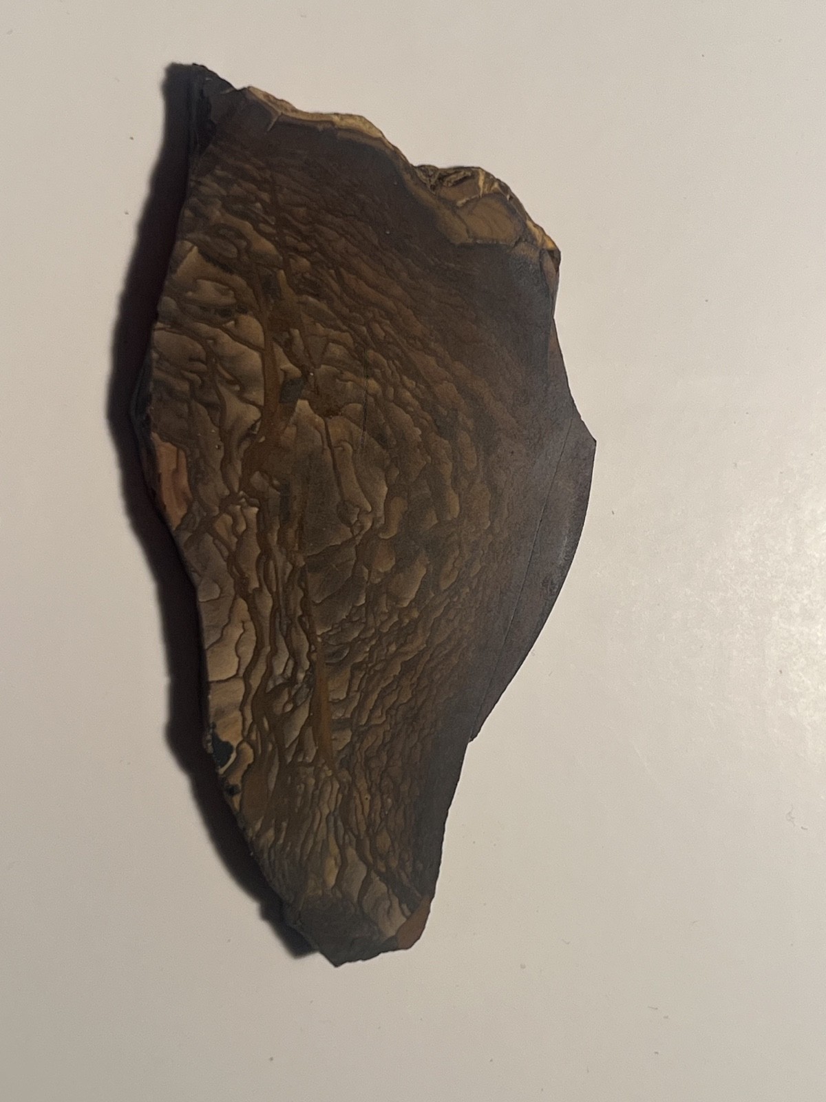 Biggs Deschutes Picture Jasper Slab Oregon Polished 28g