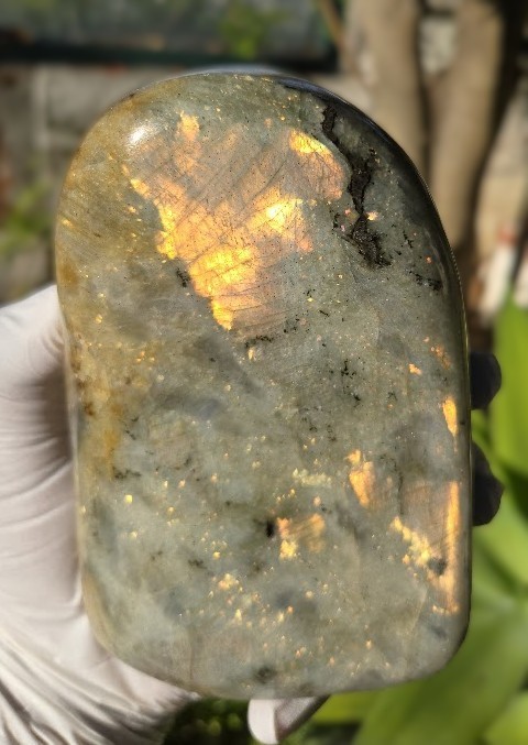 Labradorite Polished Large (2.5 lb) Vibrant Orange Yellow Flashes Home Accent