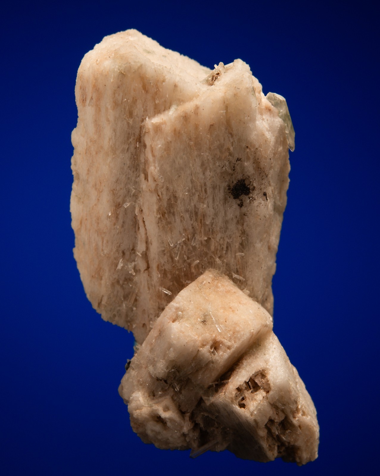 Allanite-(Ce) on Microcline (Carlsbad twin) Mount Antero, Colorado 1000-0279