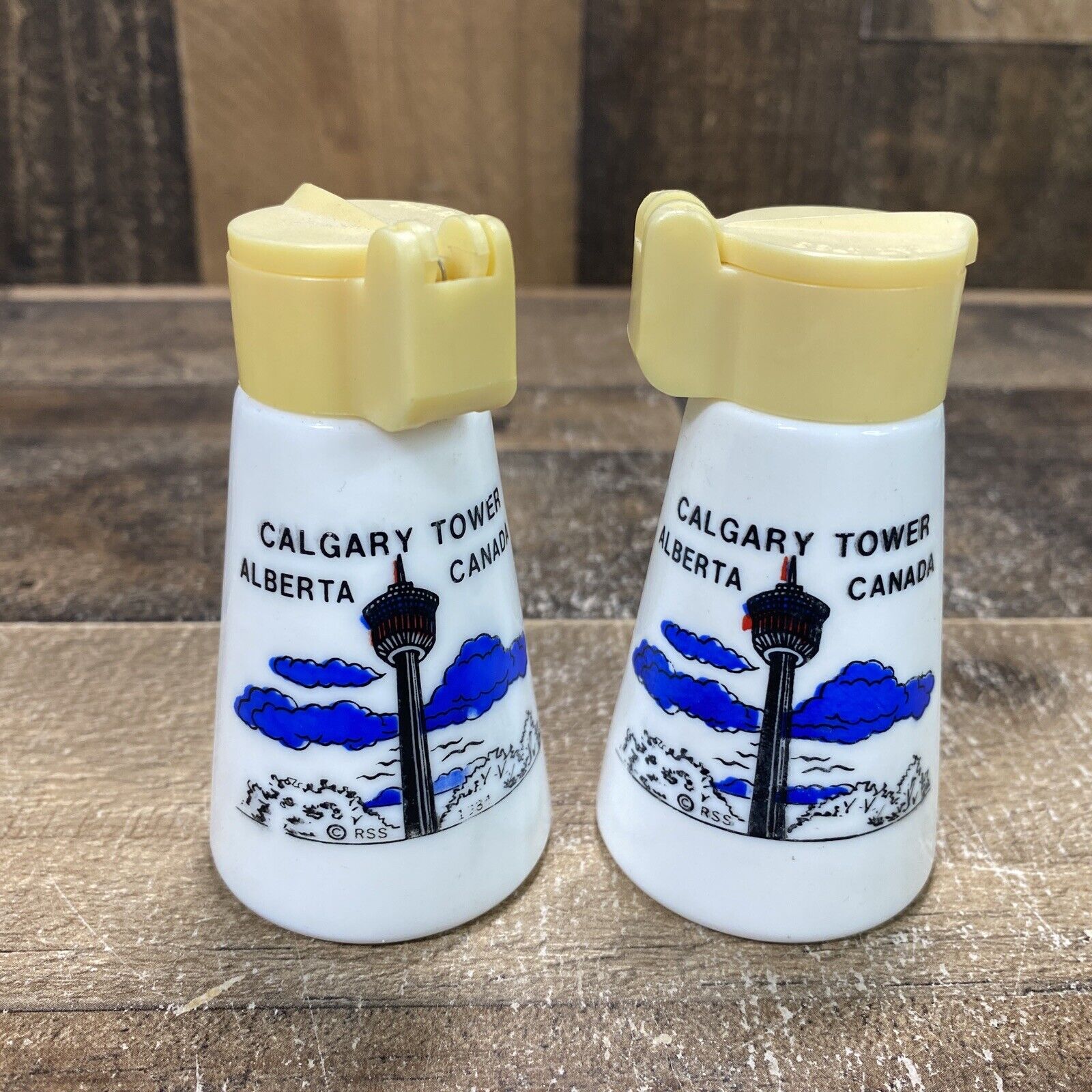Vintage Porcelain Calgary Alberta Canada Calgary Tower Salt & Pepper Shakers