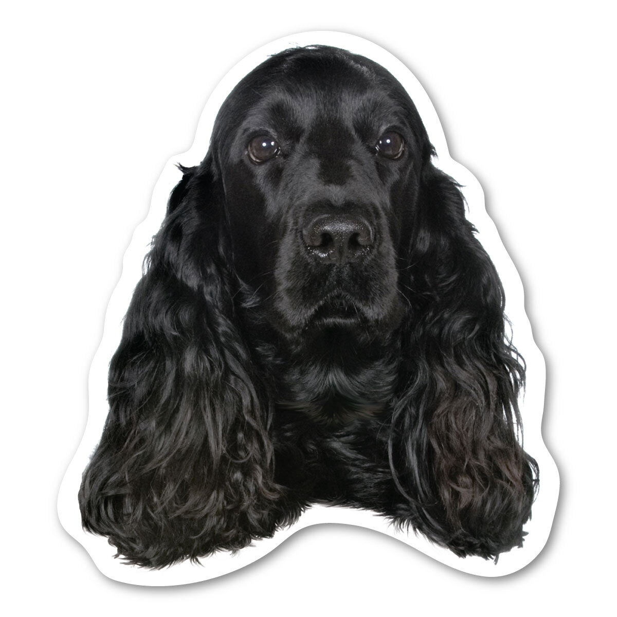 (Black) Cocker Spaniel Magnet (Black) Cocker Spaniel Magnet