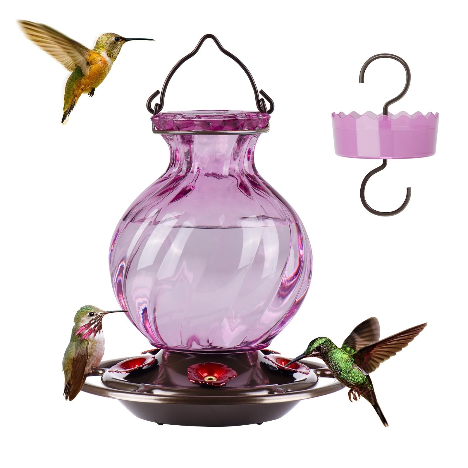 Auslar Glass Hummingbird Feeders for Outdoors Hanging, Purple, 26 Oz | Hummin...