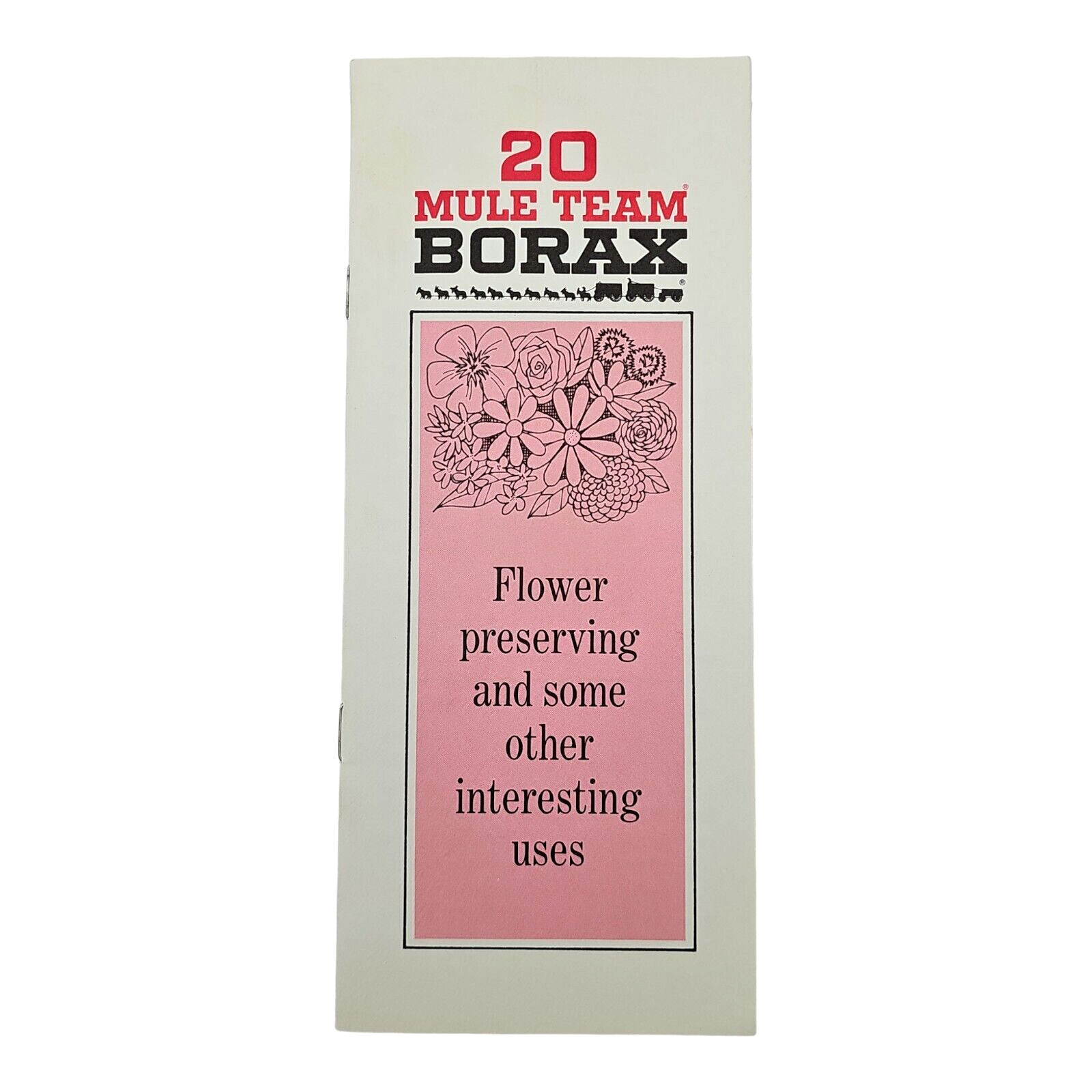 20 Mule Team Borax Soap Pamphlet Flower Preserving and Some Other Uses Vintage