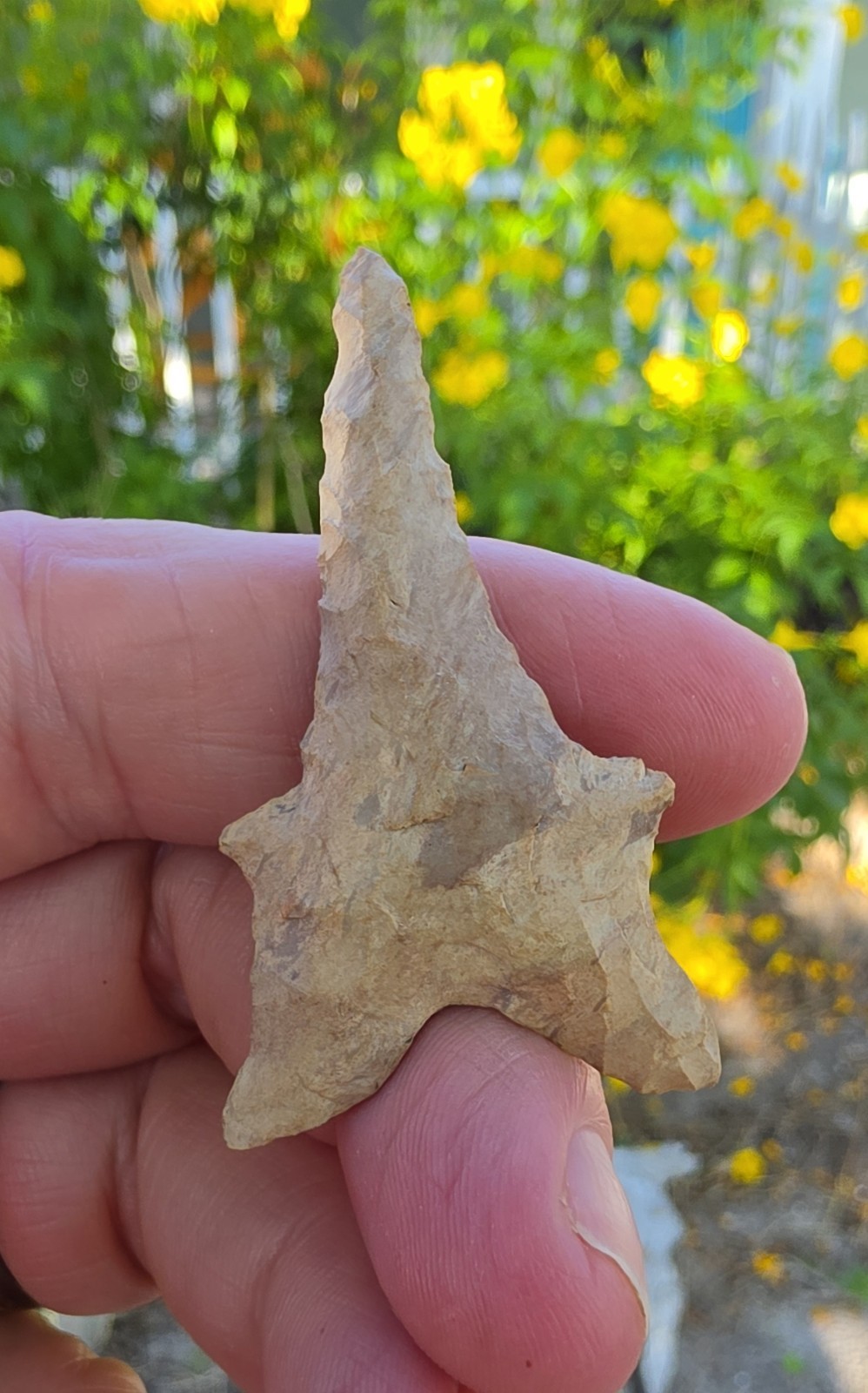 Beautiful Ancient Authentic Dalton Drill Indian Arrowhead