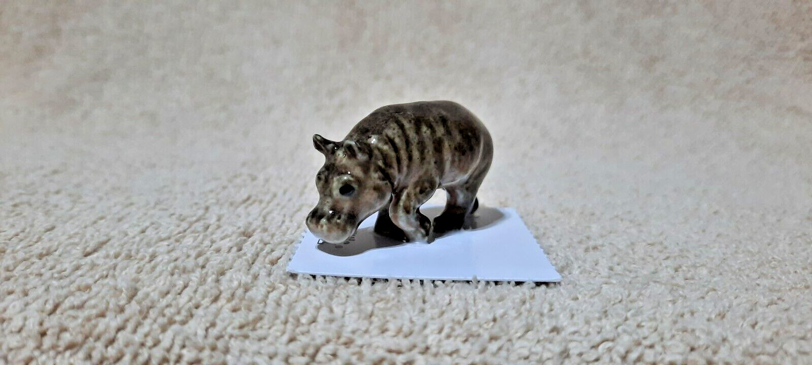 LITTLE CRITTERZ Hippopotamus \