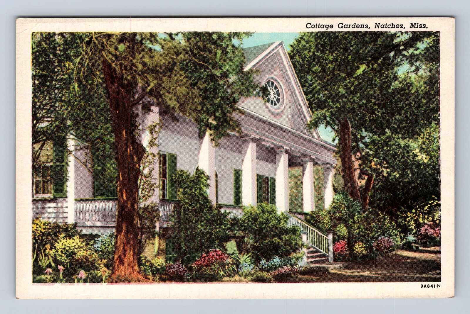 Natchez MS-Mississippi, Cottage Gardens, Antique, Vintage Postcard
