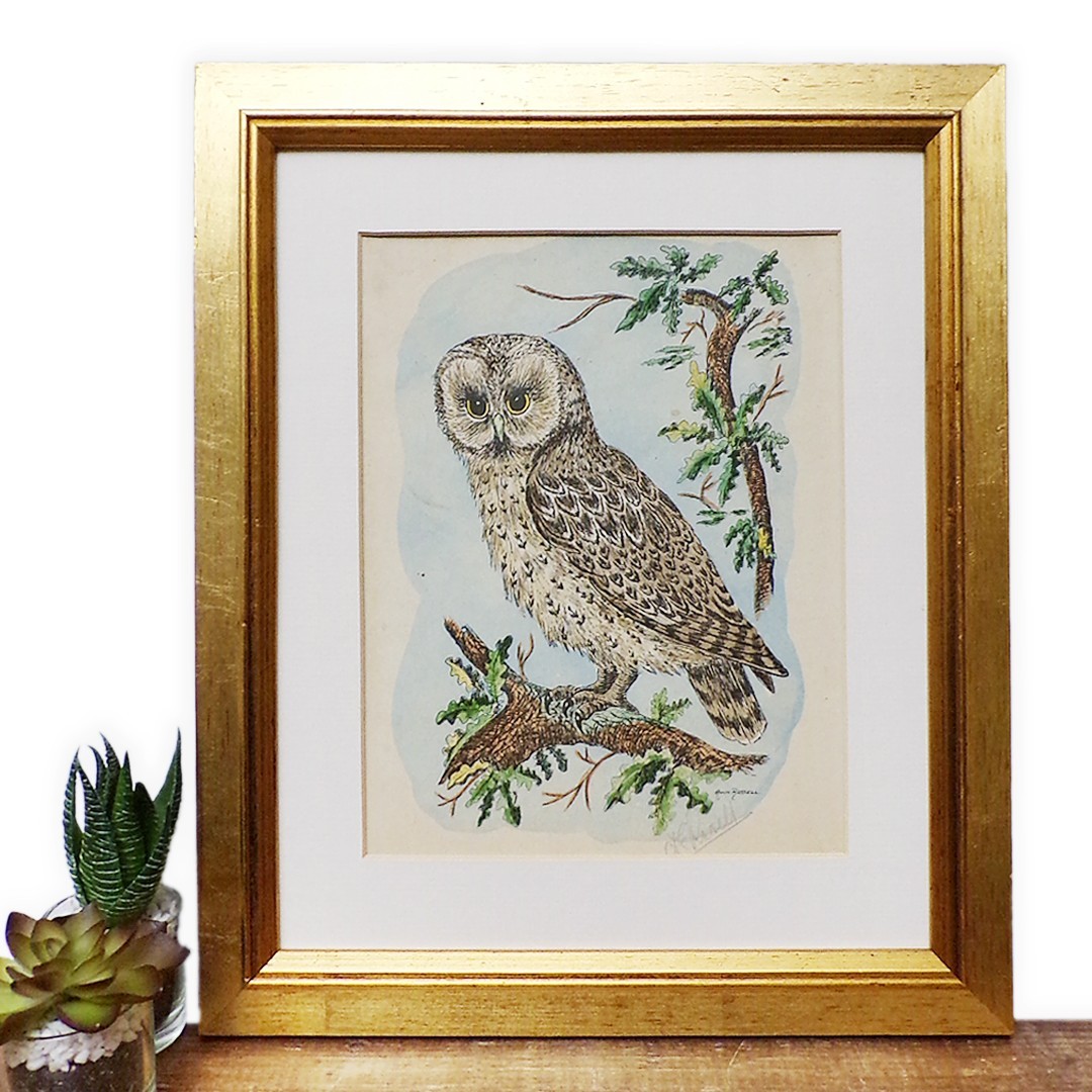 Vintage Framed Print Owl Bird Wall Art Picture Signed Small Gold Frame Russell