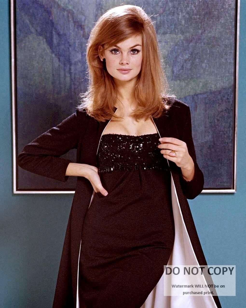 Jean Shrimpton Publicity Photo 8x10 Fashion Model Portrait 2