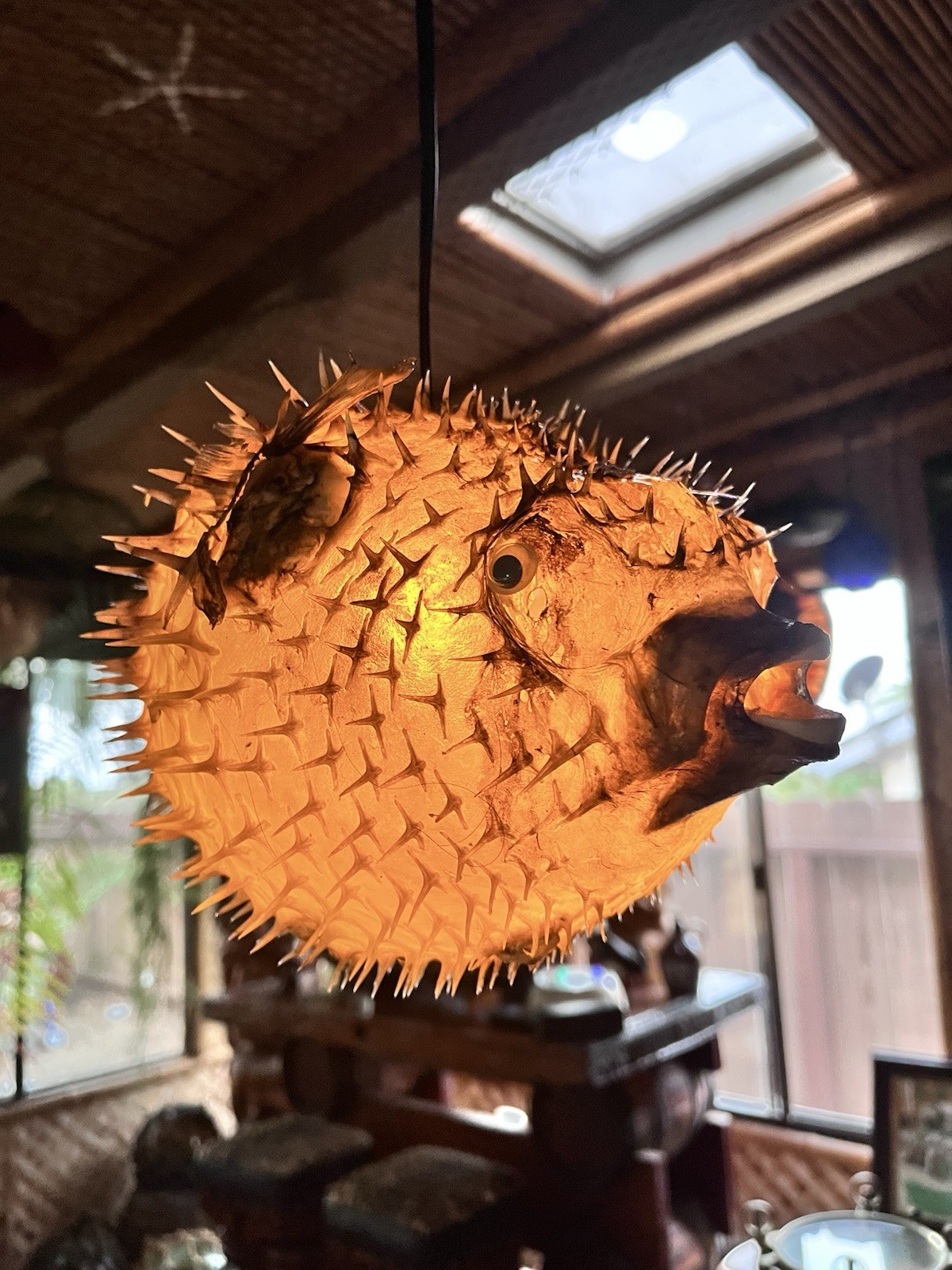 NEW 8”-9” Pufferfish Lamp w/yellow LED Tiki bar Smokin Tikis Oceanic