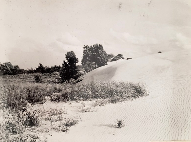 Vintage INDIANA DUNES/SAND DUNE 8x10 PRESS PHOTO,Porter County,Michigan City,IN