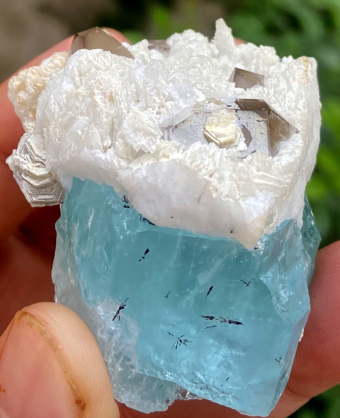 72 Gm Amazing Smokey Quartz & Albite On Aquamarine Crystal From Skardu Pakistan