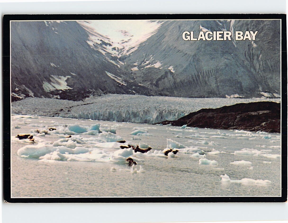 Postcard Glacier Bay National Monument Alaska USA