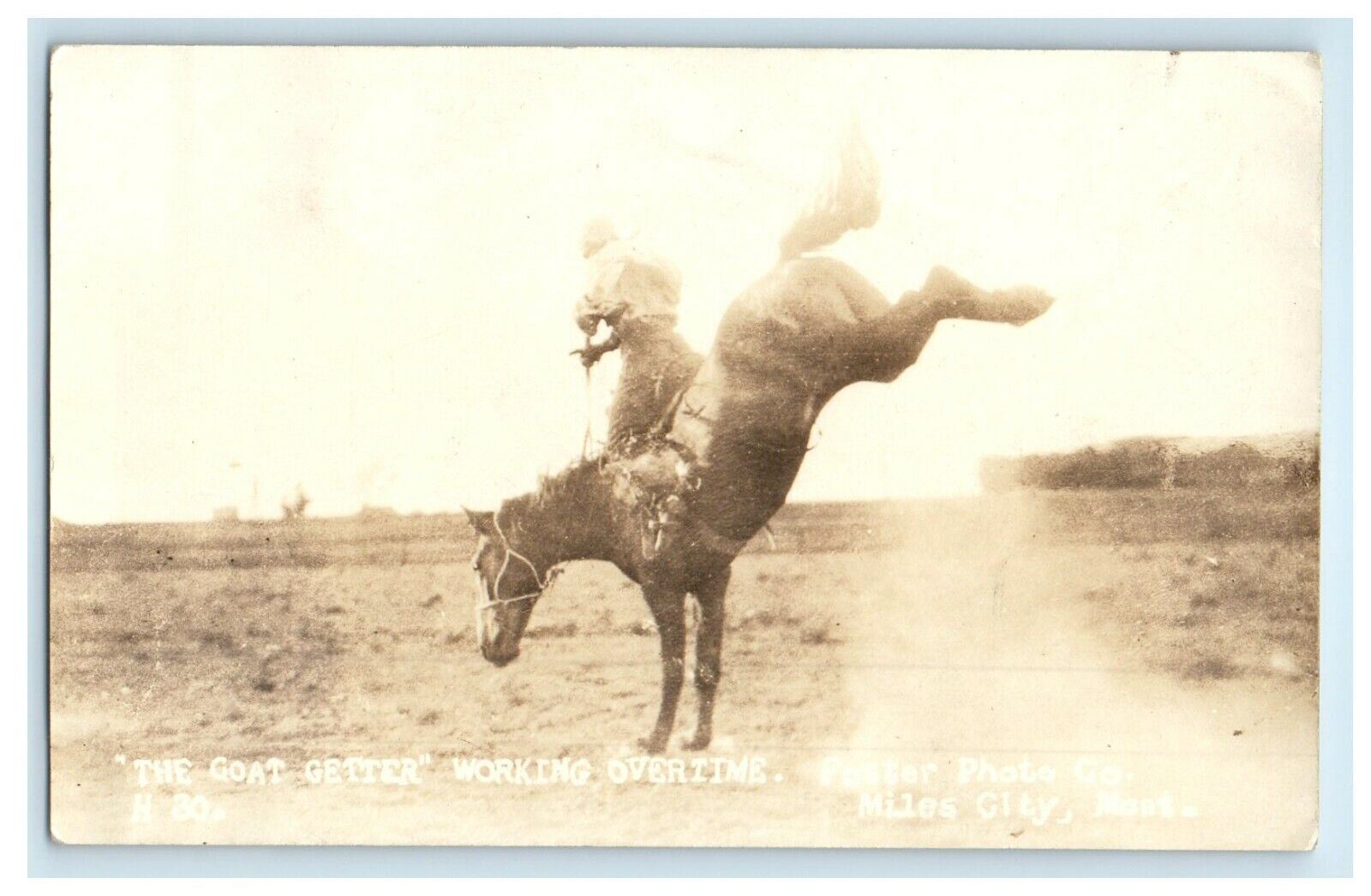 c1910's The Goat Getter Working Overtime Miles City MT RPPC Photo Postcard