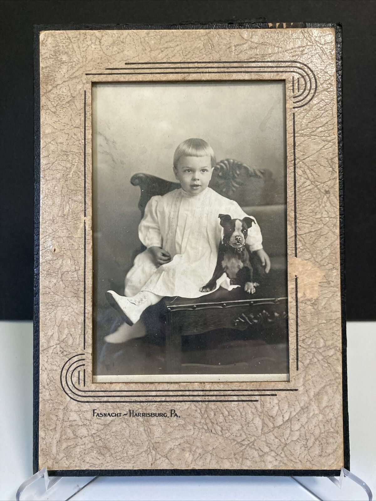 Antique Photograph of Child w/ American Pit Bull Puppy ~ Glass in Frame ~