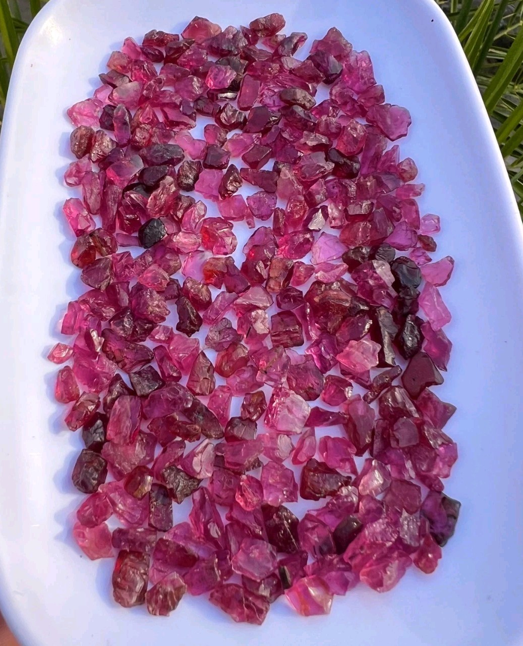 500 Grams Rhodolite Garnet Gemmy Crystals Having Nice Colour & Size From Africa.