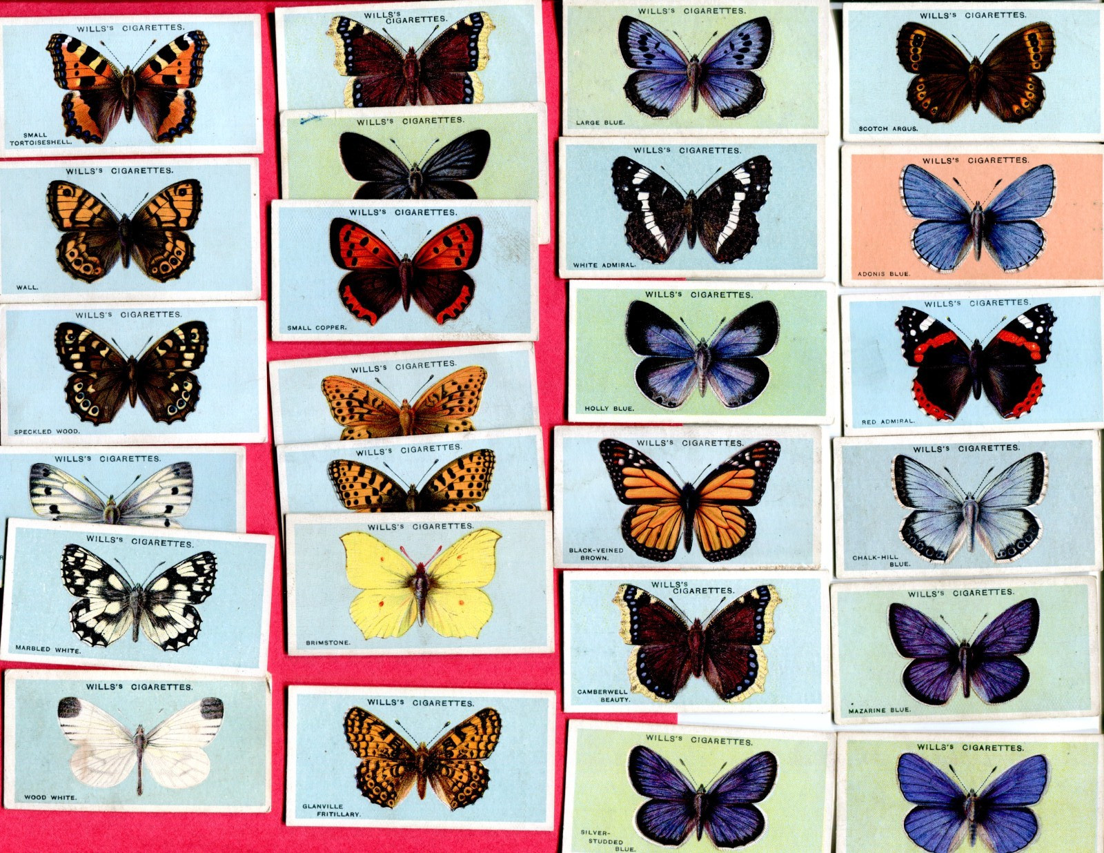 1927 W. D. & H. O. WILLS BRITISH BUTTERFLIES 25 TOBACCO CARD LOT