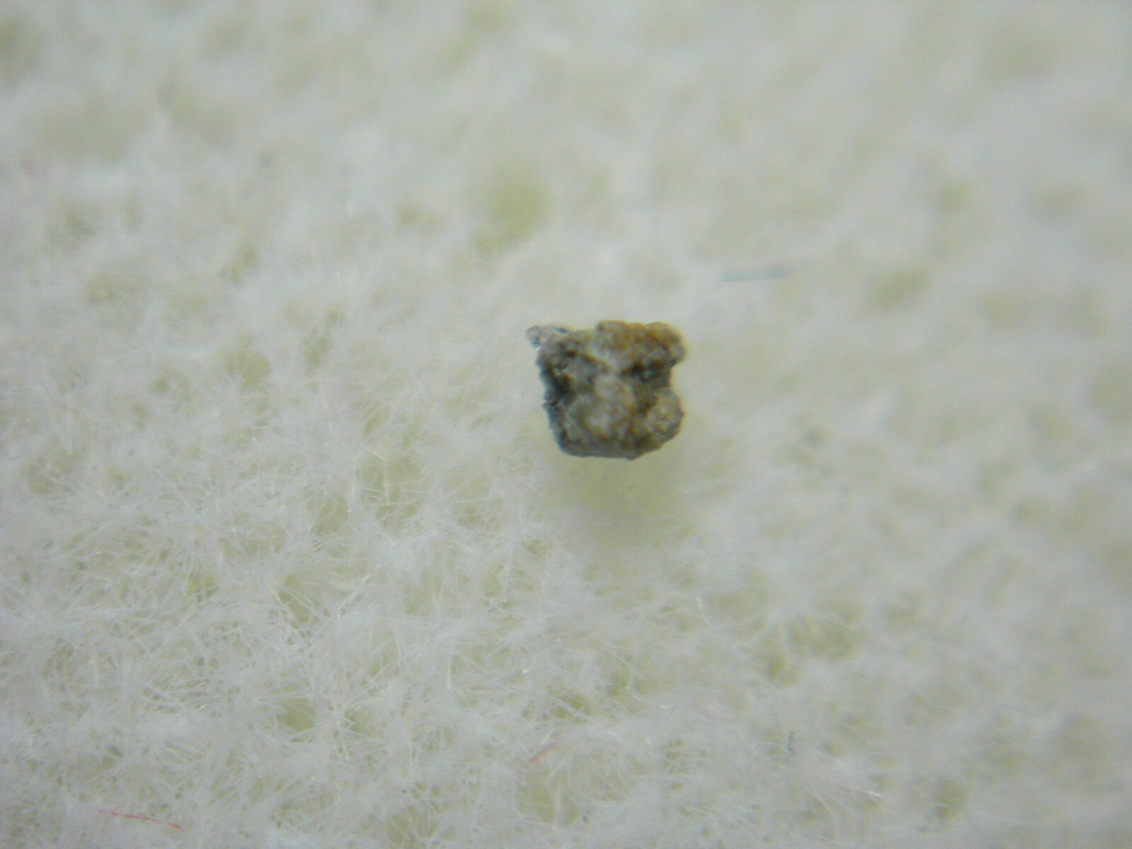 SHERGOTTY MARTIAN Meteorite specimen VERY RARE Shergottite Mars SNC   2mg