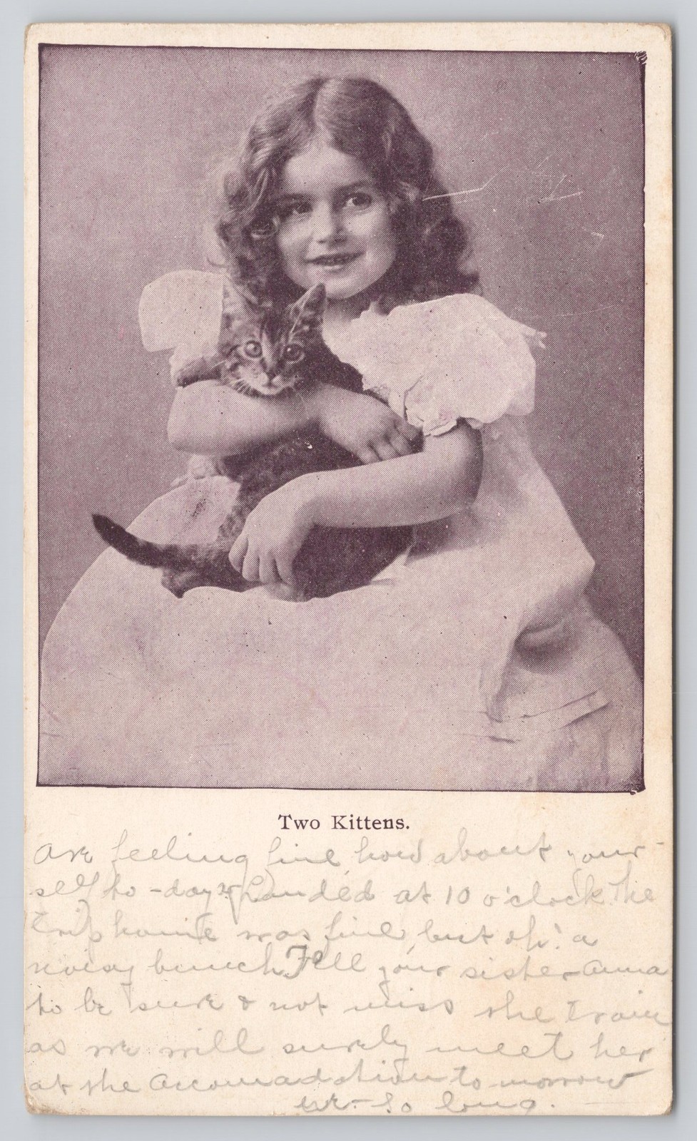 Two Kittens Girl Holding Cat Antique Postcard c1908 Southern Magazine Co