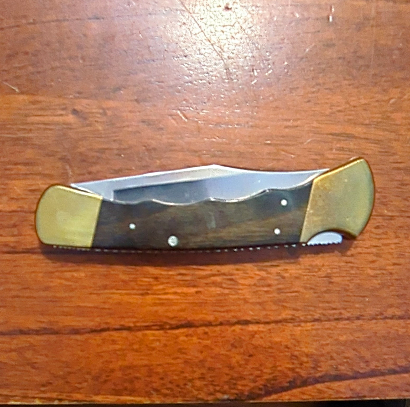 1995 Buck Lockback  Clip Point Plain Edge Stainless Blade Brass/Wood Hand