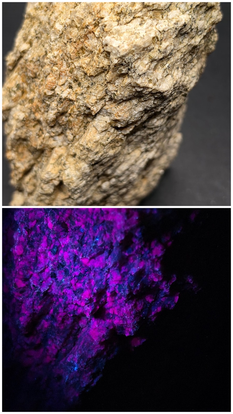 Large 2.5lb Fluorescent Apatite / Feldspar in Losee Gneiss - Sussex Co. NJ SW UV