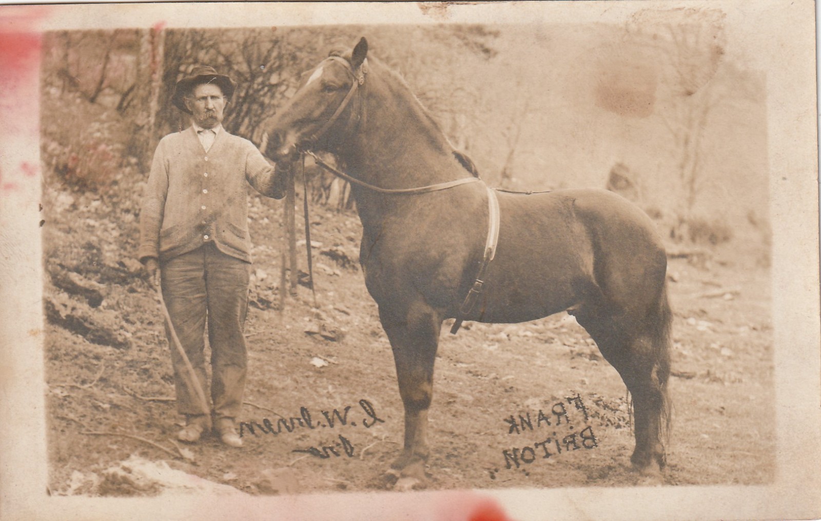 Wytheville VA   C. W. Irvin & Horse ca. 1918 or earlier -- Photo by Frank Briton