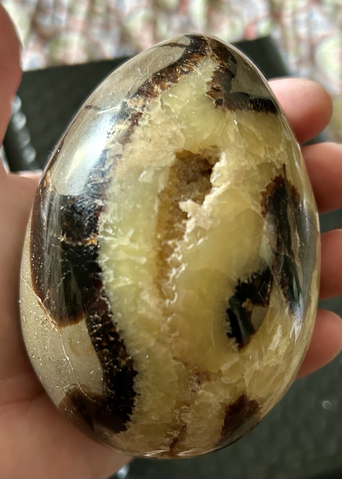 Large Septarian Egg Polished Natural Stone Crystal Carving 