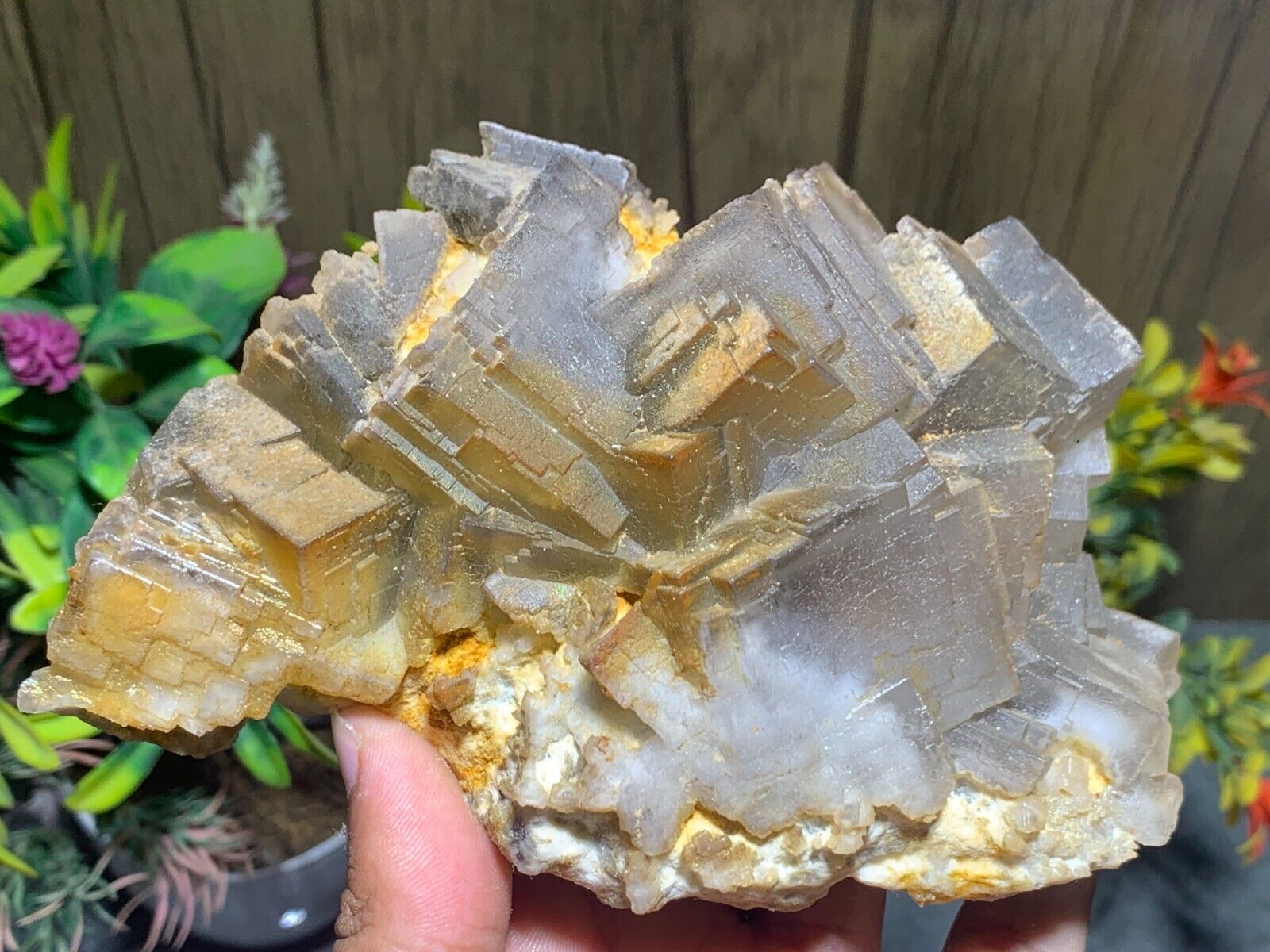 571 Grams Fluorite Cubic Crystals Natural specimen stone Mineral.