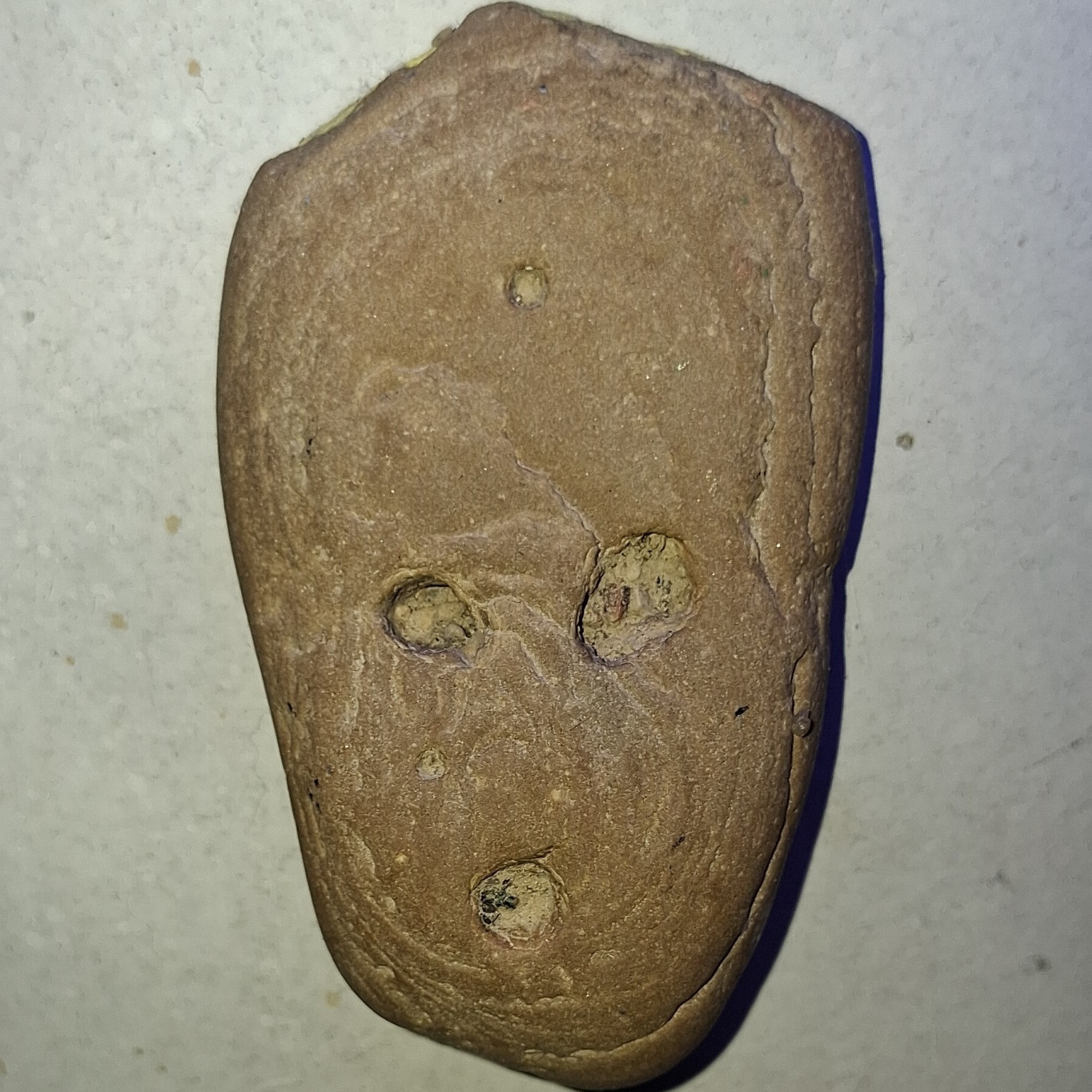A One Of A Kind Groot  Rock This Is A Scary Look Alike