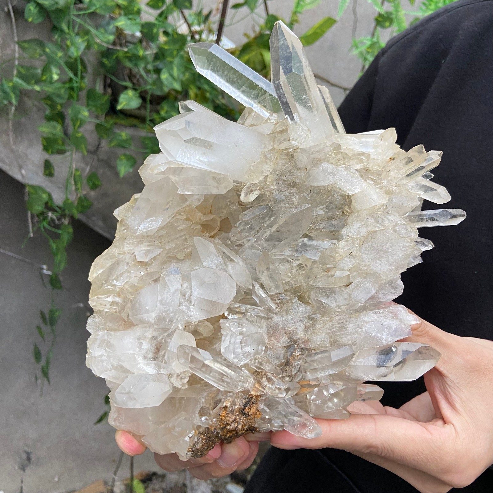 3.7LB  A++Large Natural clear white Crystal Himalayan quartz cluster /mineralsls