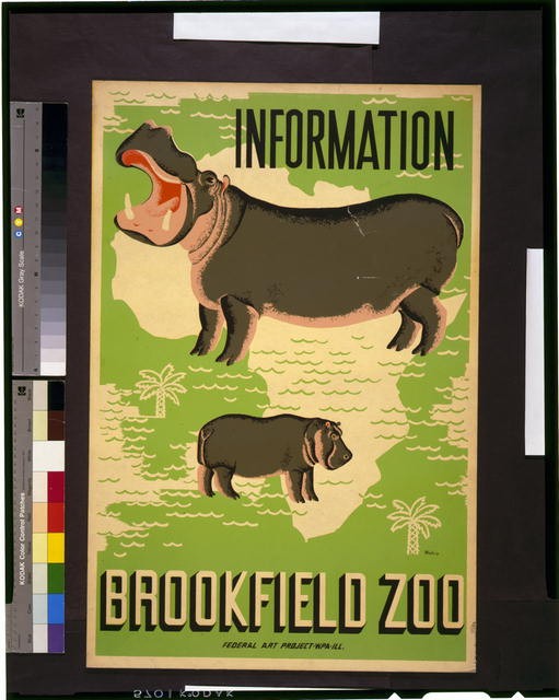 Information,Brooklyn Zoo,Chicago,Illinois,IL,Hippopotamus,Hippo,Africa,c1937