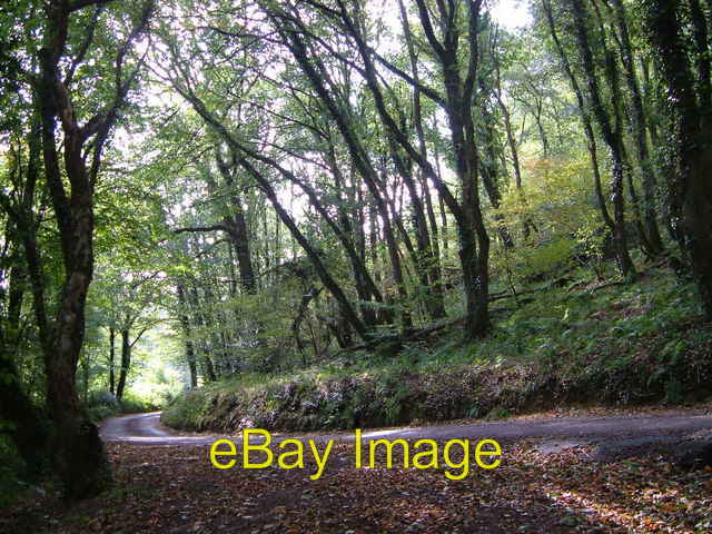 Photo 6x4 Near Venn Mill Bidlake Taken from almost the same spot as [[249 c2006 Photo 6x4 Near Venn Mill Bidlake Taken from almost the same spot as [[249 c2006