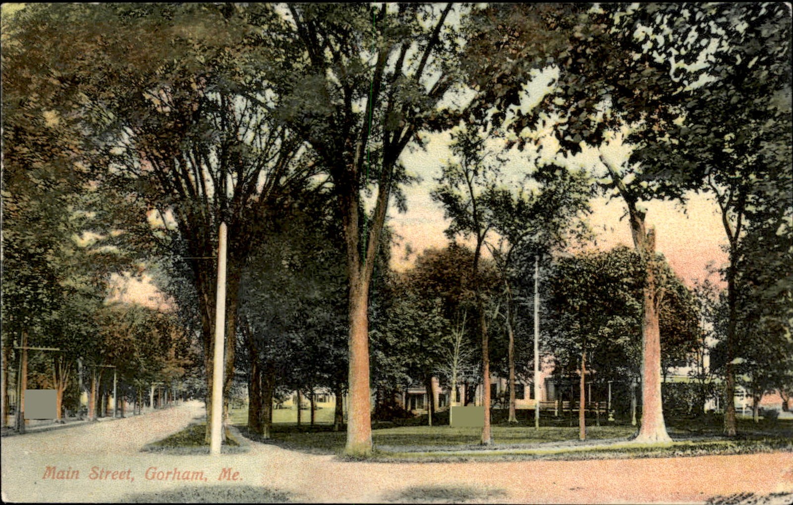 Gorham Maine Tree Lined Main Street c1900-20s Vintage Postcard