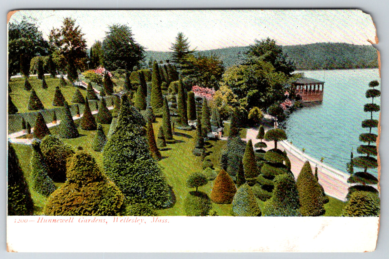 c1910s UDB Hunnewell Gardens Wellesley MA Antique Postcard