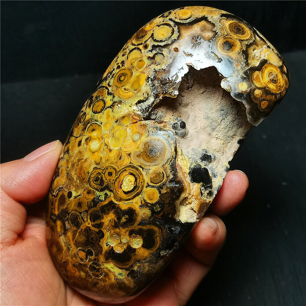 Rare 429G Natural Inner Mongolia Gobi Eye Agate Geode Collection Healing WYY1468