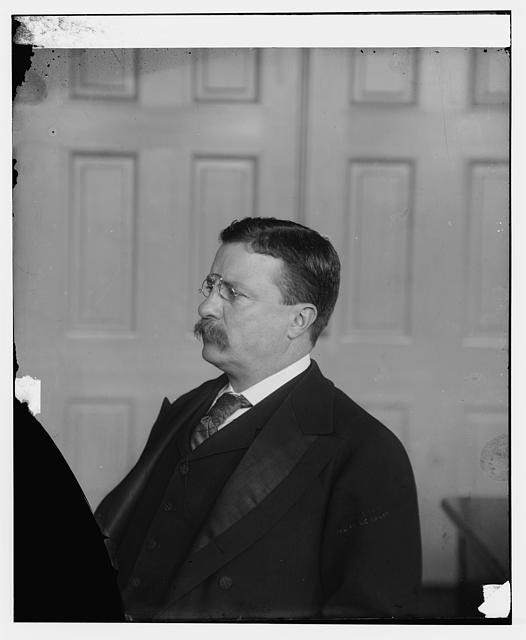 Washington DC Theodore Roosevelt 1904 office portrait White House men