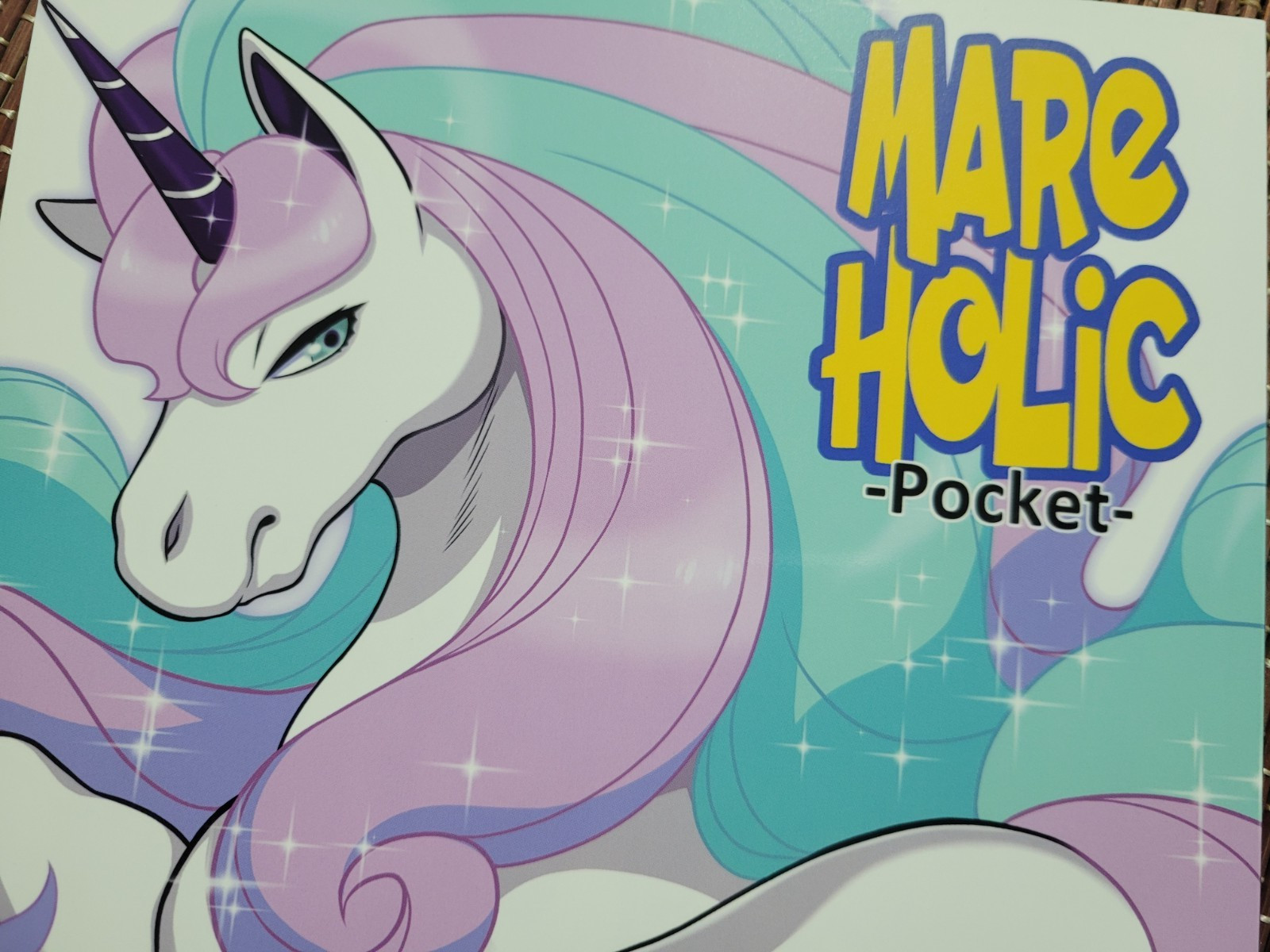 Doujinshi POKEMON Keldeo Kawazoko Mayoineko Etc (B5 100 Pages) MARE HOLIC Pocket